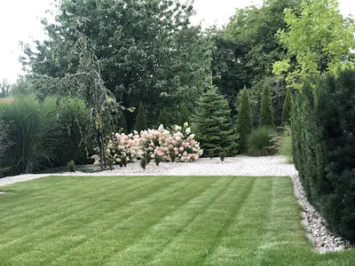 Ogrody Jędrzejek - projektowanie i zakładanie ogrodów